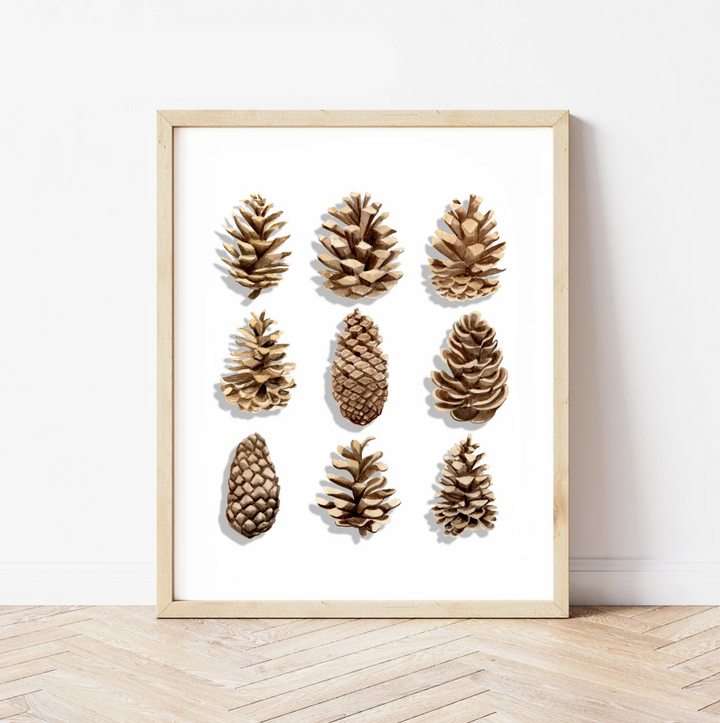 Pinecone Watercolor Print, local artist (3 Sizes)