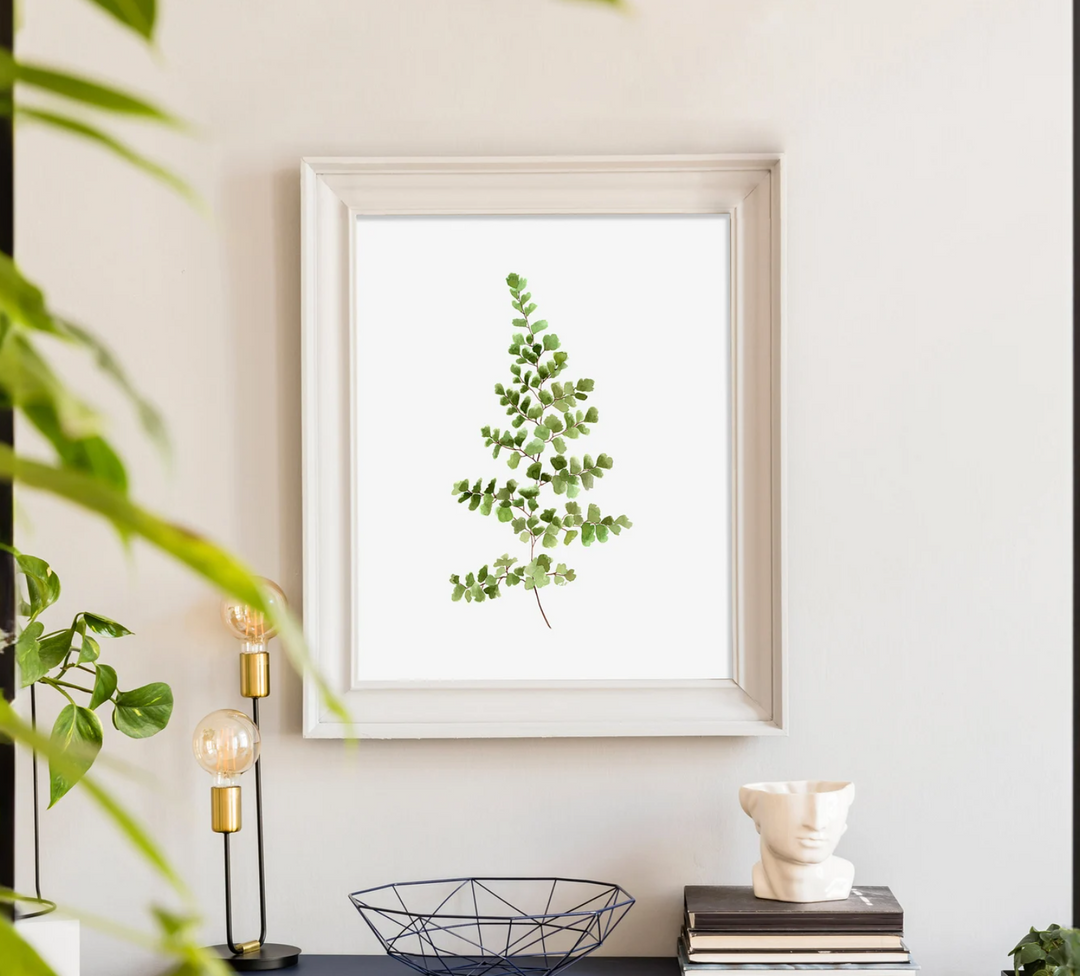 Maidenhair Fern Watercolor Print, local artist (Two Sizes)
