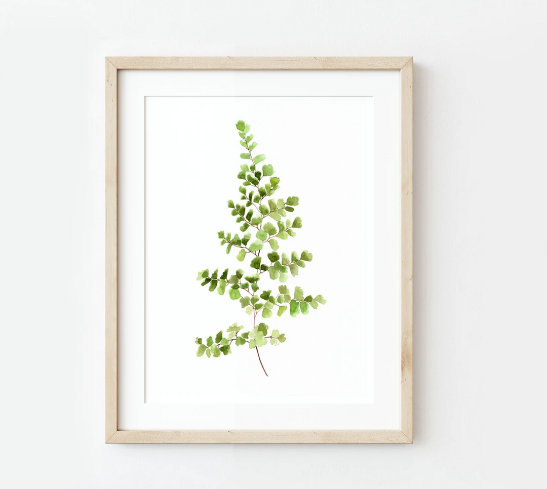 Maidenhair Fern Watercolor Print, local artist (Two Sizes)
