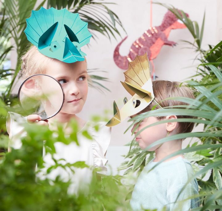 Dinosaur Kingdom Party Hats