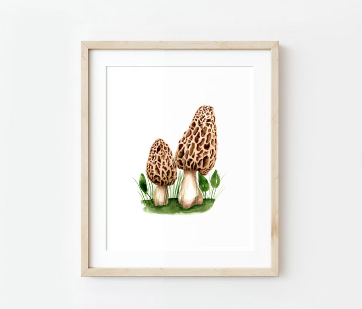 Morels Watercolor Print, local artist (3 Sizes)