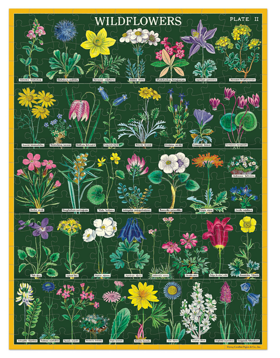 cavallini house plants puzzle Mini Cavallini Puzzles (Multiple Styles) – Poppy Things