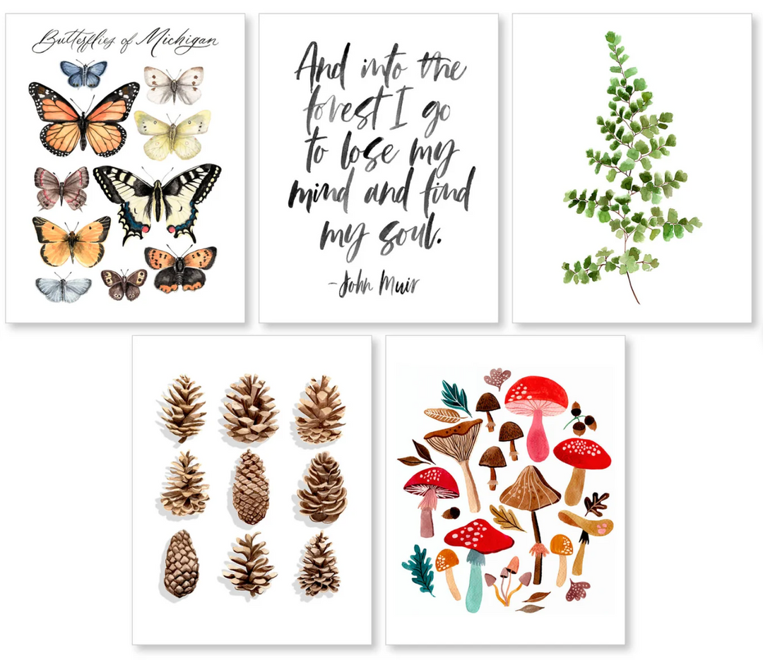 Nature Greeting Card Set, local artist