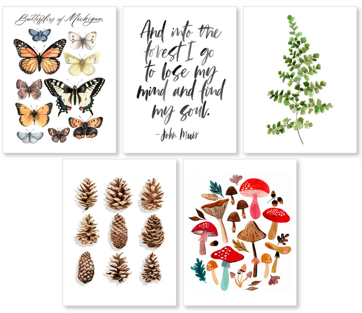 Nature Greeting Card Set, local artist