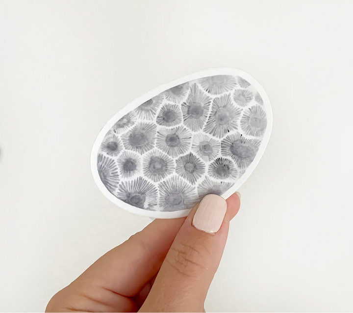 Petoskey Stone Magnet, local artist