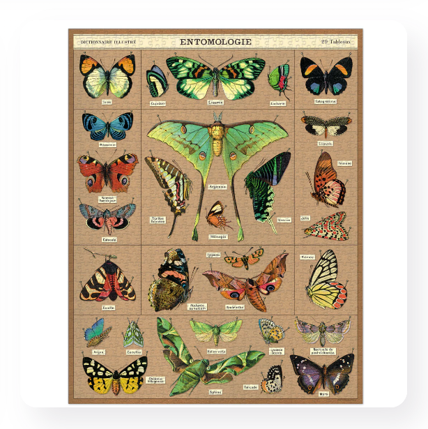 Entomology 1,000 Piece Puzzle