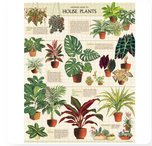 House Plants 1,000 Piece Puzzle