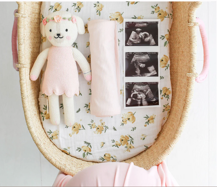 Little Charlotte the Dog