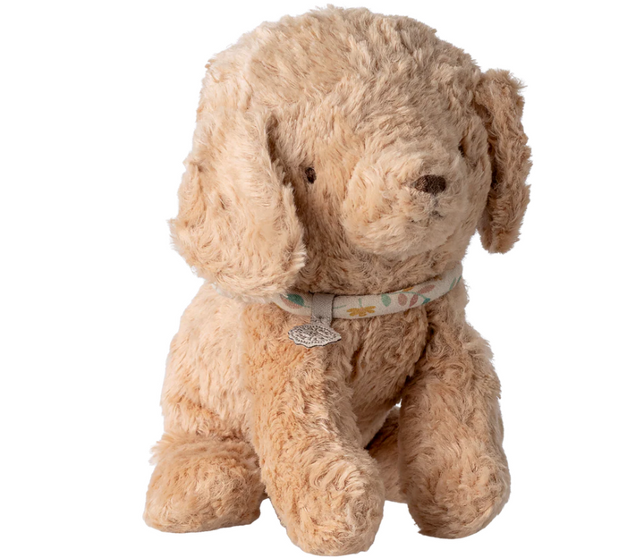 Puppy, Small in Dusty Powder