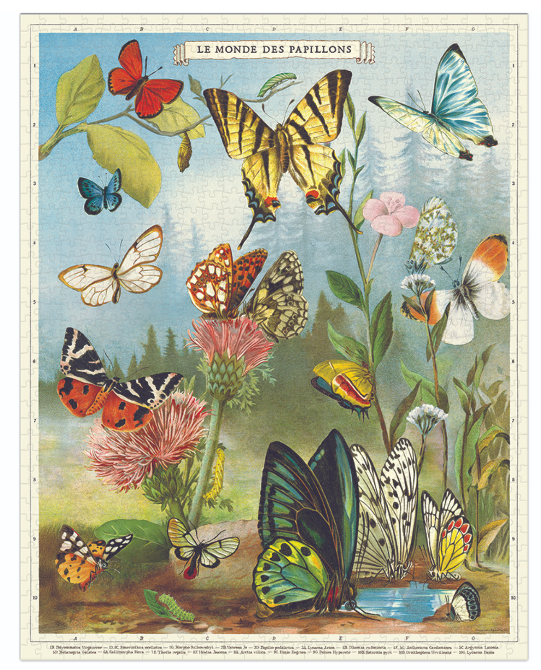 World of Butterflies 1,000 Piece Puzzle