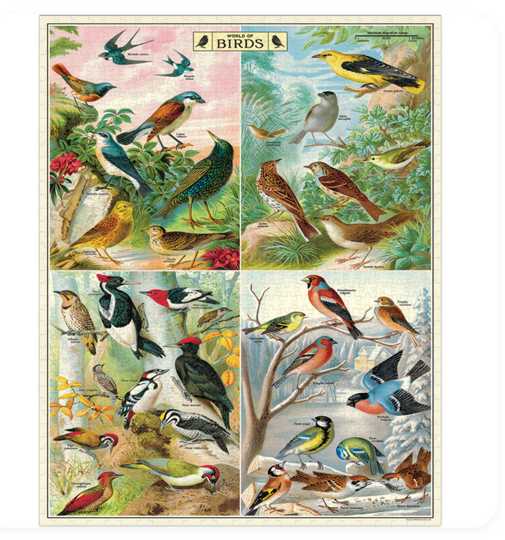 World of Birds Vintage 1,000 Piece Puzzle