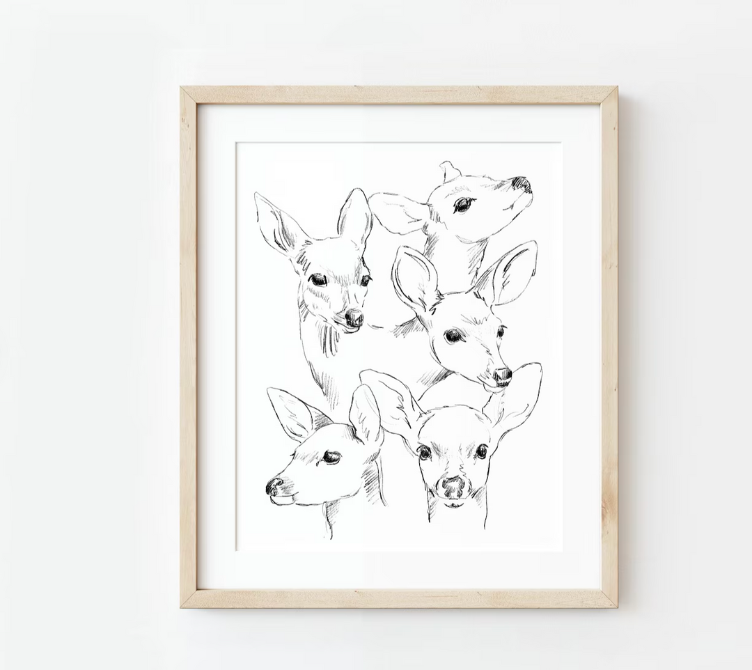 Fawn Sketch Study Print, Local Artist (3 Sizes)