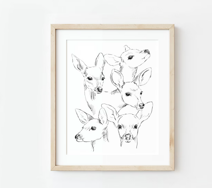 Fawn Sketch Study Print, Local Artist (3 Sizes)