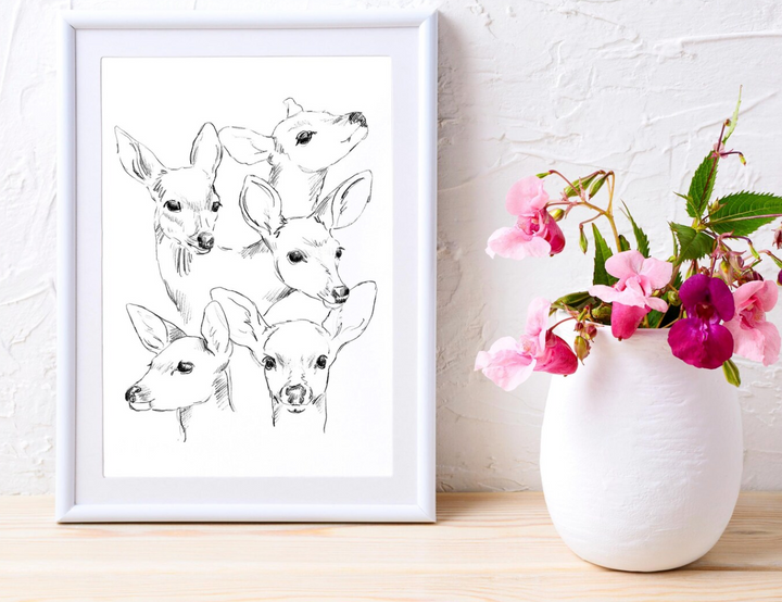 Fawn Sketch Study Print, Local Artist (3 Sizes)