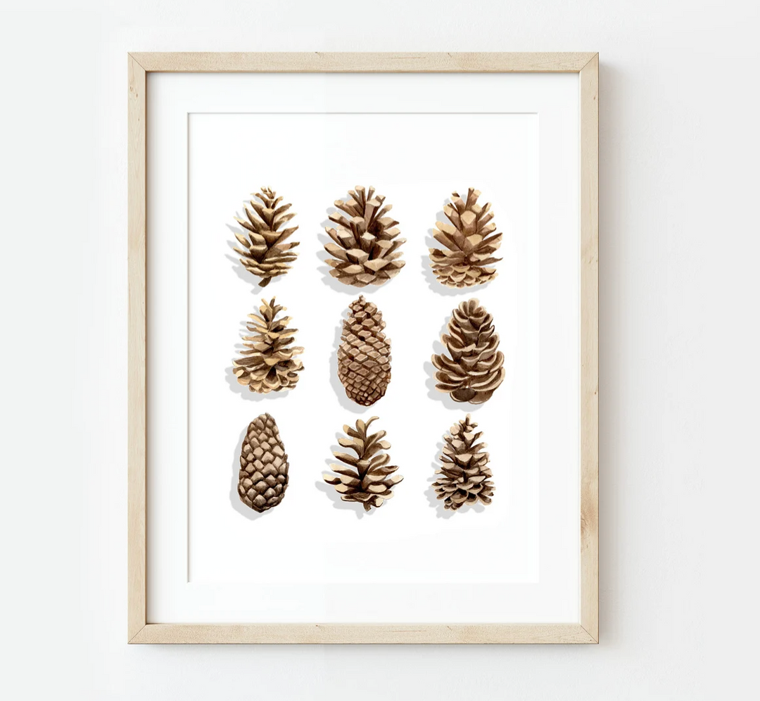 Pine Cone Watercolor Print, Local Artist (2 sizes)