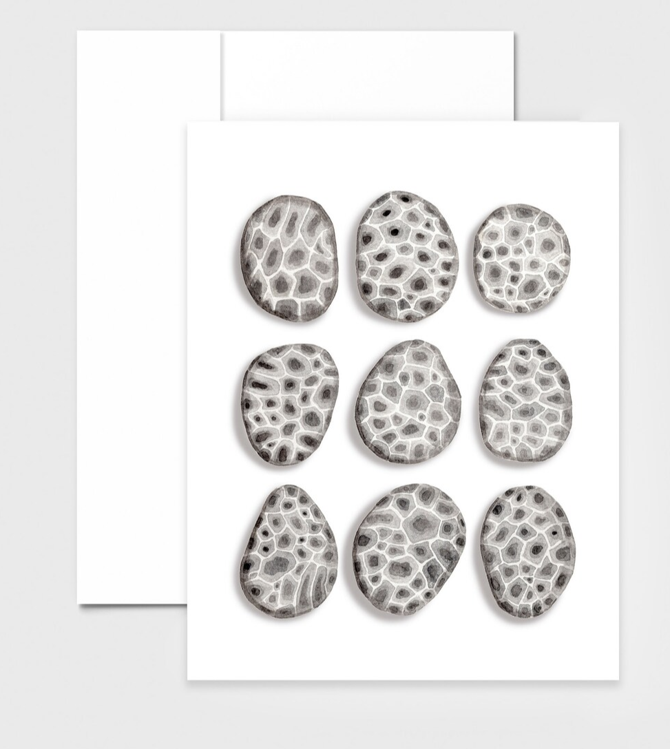 Petoskey Stone Greeting Card, Local Artist