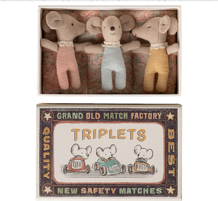 Triplets, Baby Mice in Matchbox, Checker