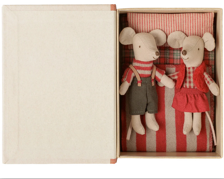 Christmas Twin Mice, Little Brother and Sister in Book