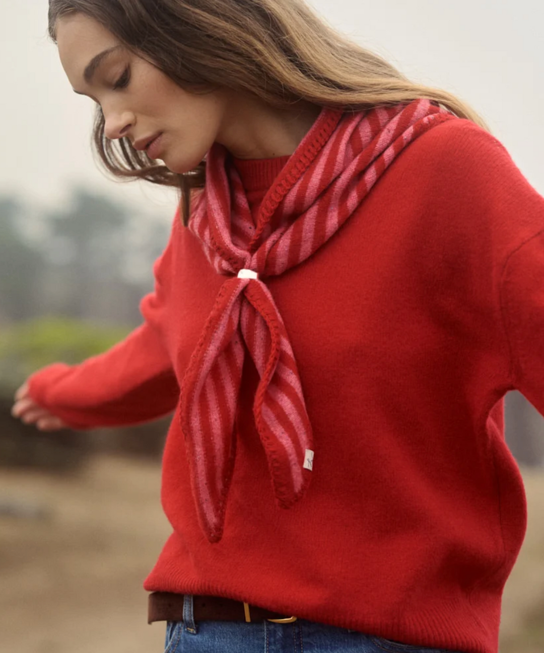Merino Crewneck Sweater in Crimson