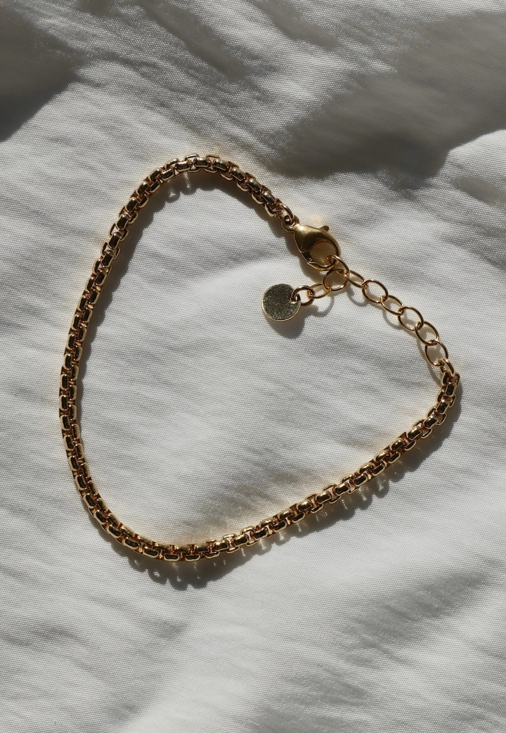 Holland  Round Box Chain Bracelet in Gold
