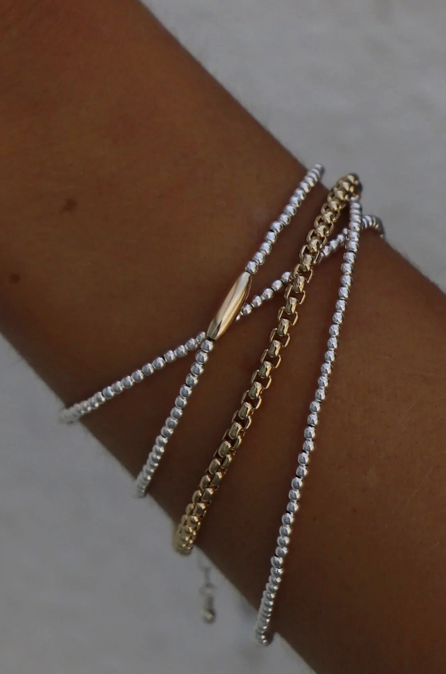Holland  Round Box Chain Bracelet in Gold
