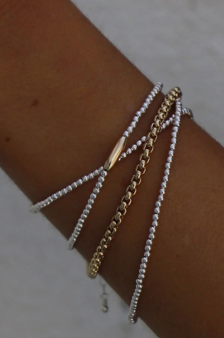 Holland  Round Box Chain Bracelet in Gold