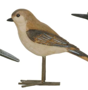 Bird with Metal Feet, 4 Styles