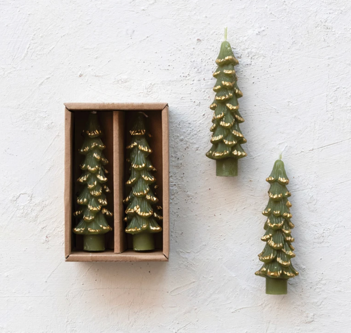 Evergreen Tree Shaped Taper Candles w/ Gold Tips in Box, Set of 2