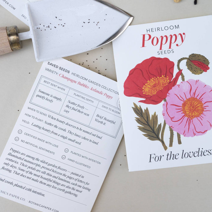 Poppy Seed Packet-Style Card