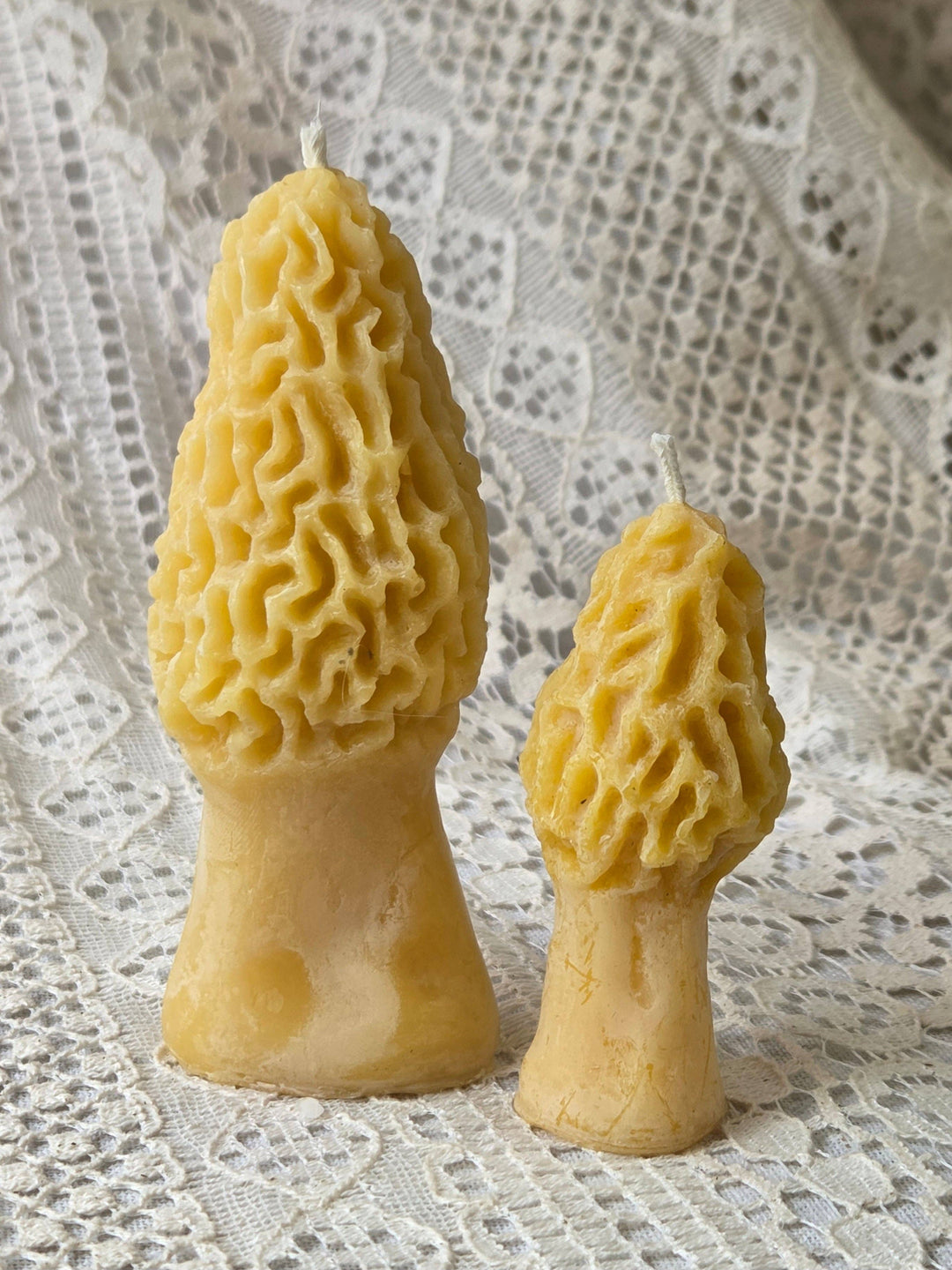 Large Morel Mushroom Beeswax Candle