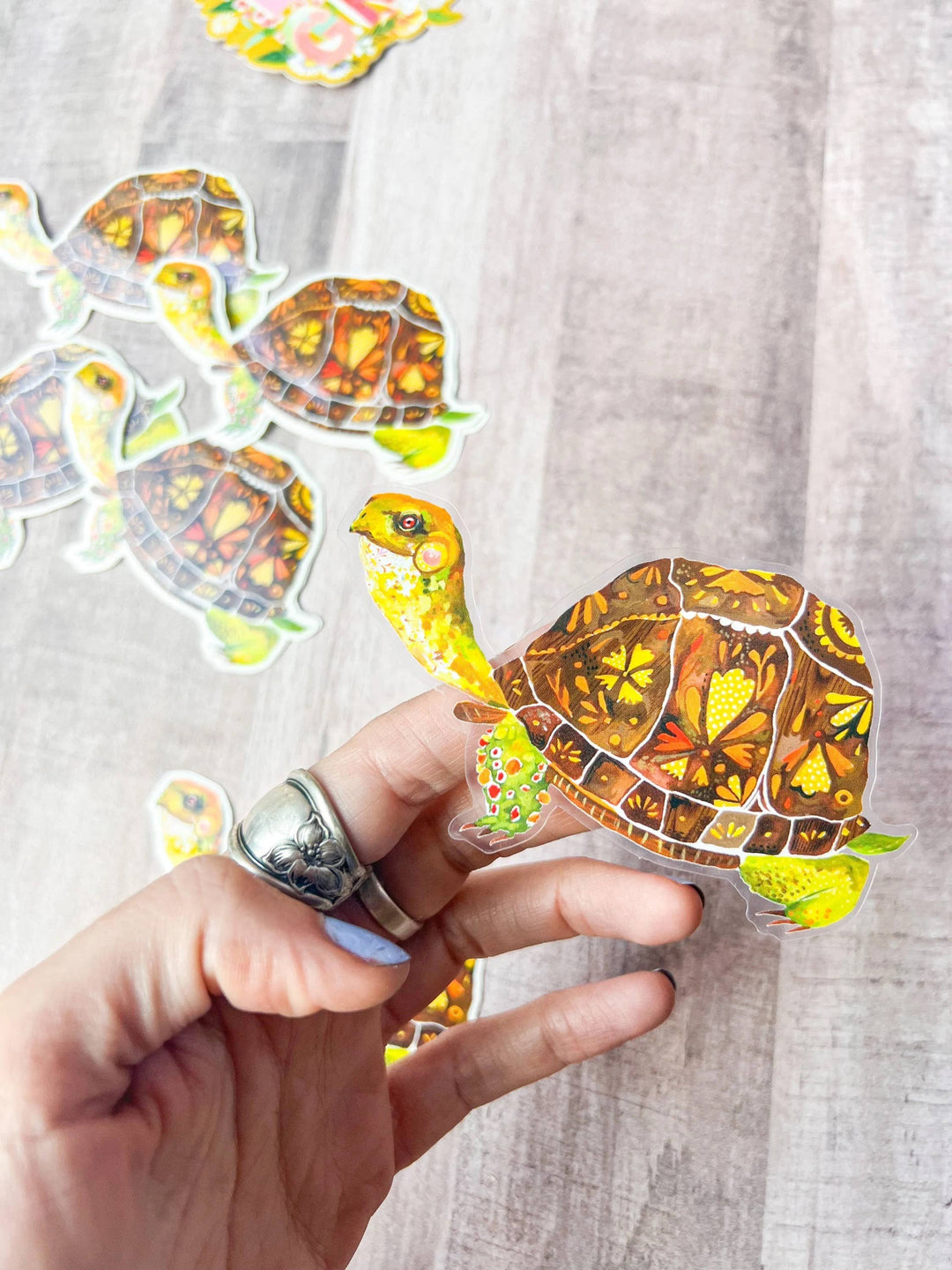 Box Turtle Sticker