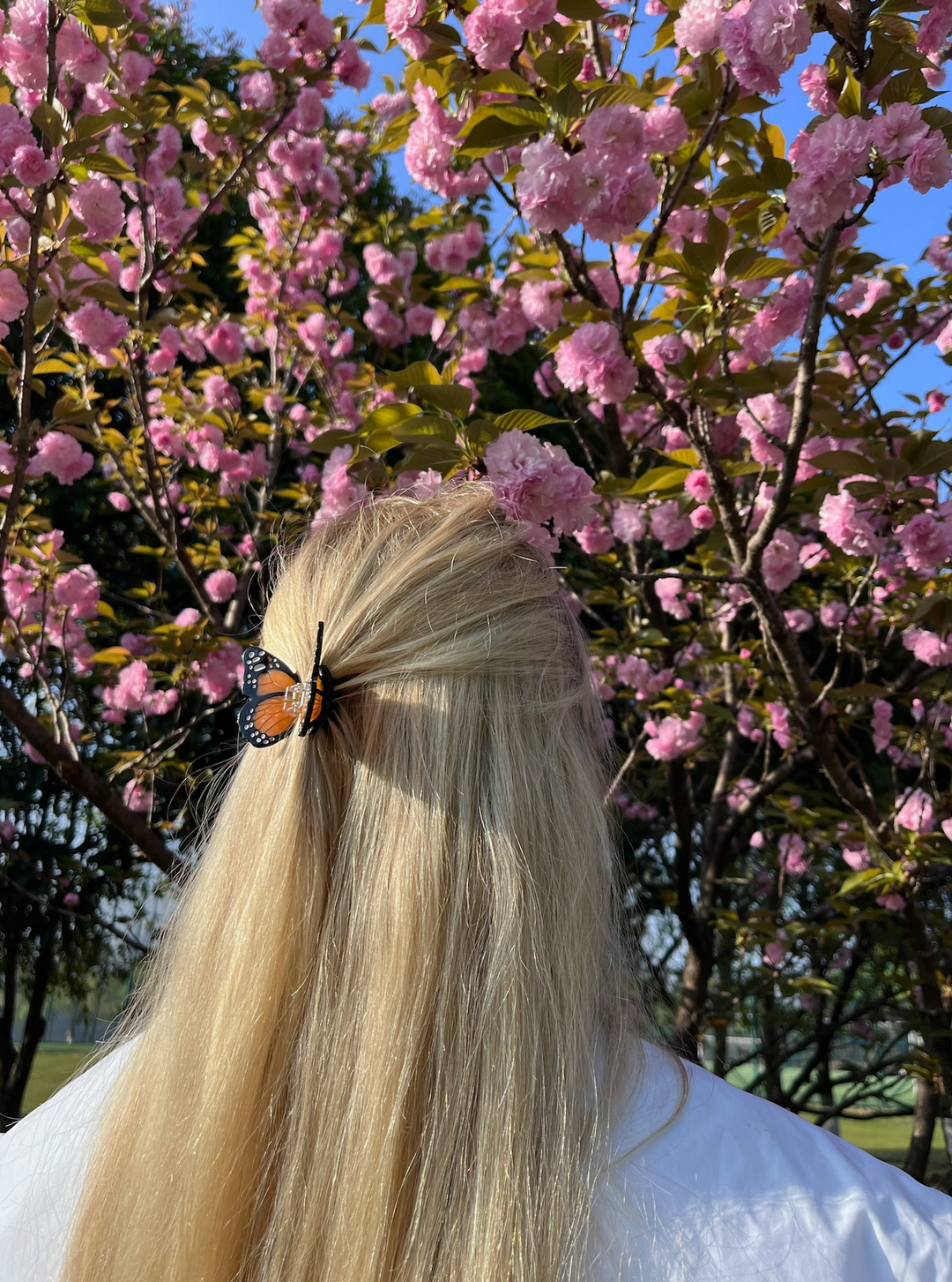 Pink Mini Monarch Hair Clip