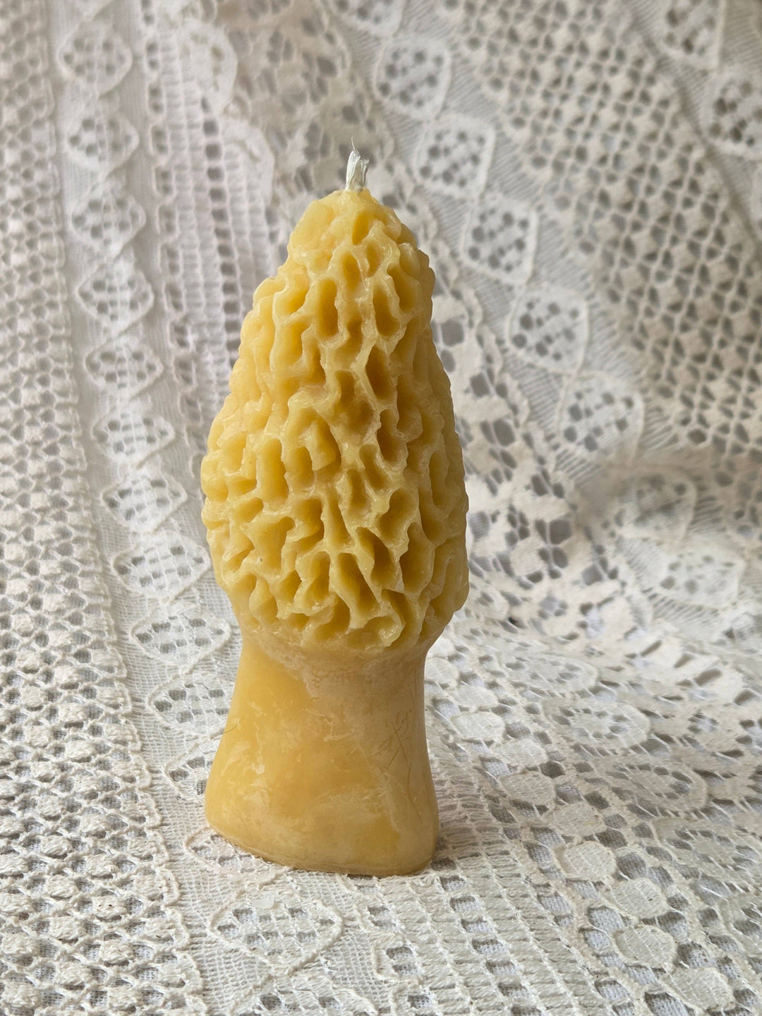 Large Morel Mushroom Beeswax Candle