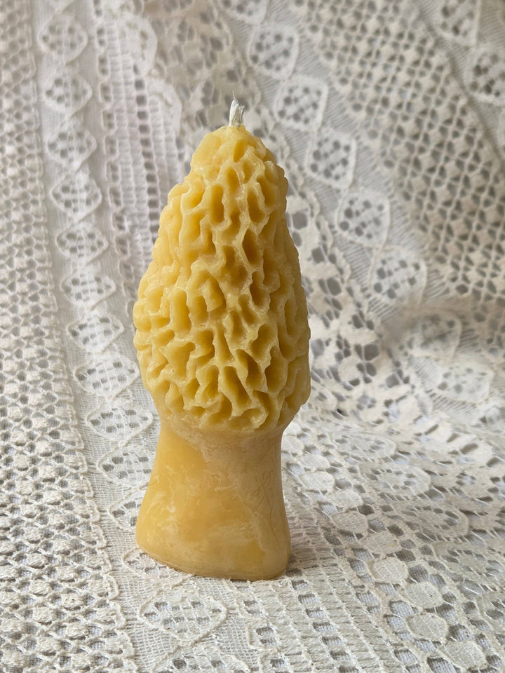 Large Morel Mushroom Beeswax Candle