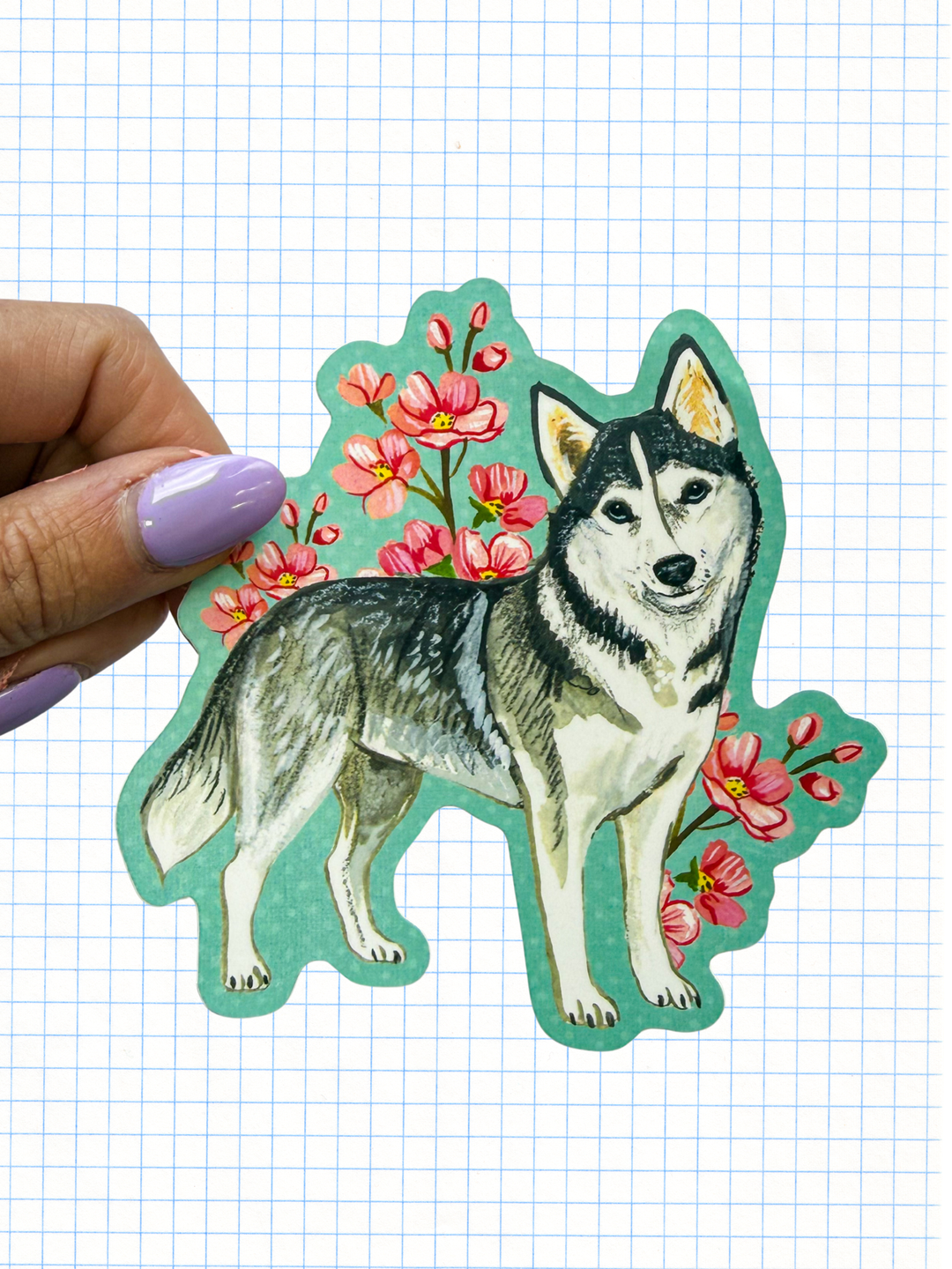 Husky Sticker