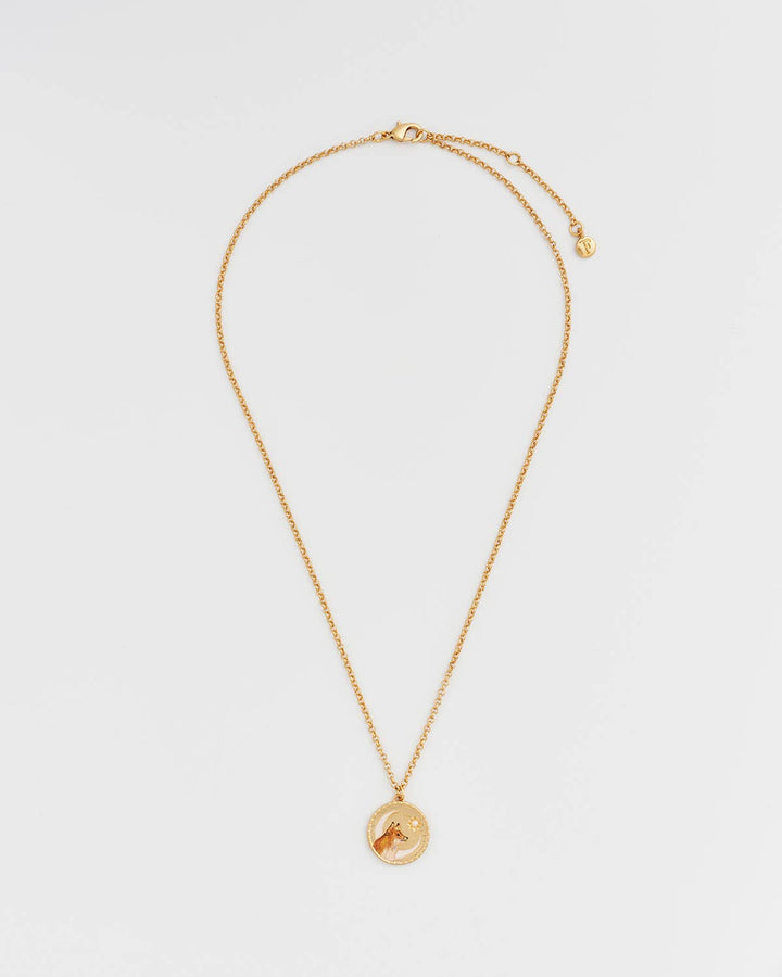 Fox Shadow Guide Necklace