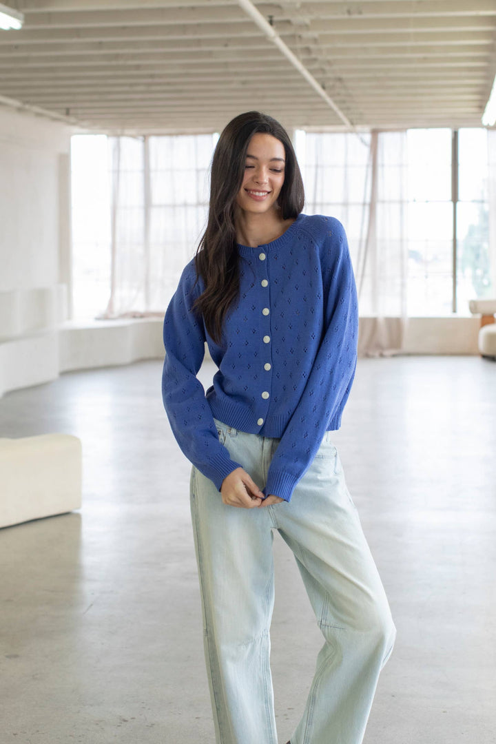 Dara Cardigan in Vintage Blue