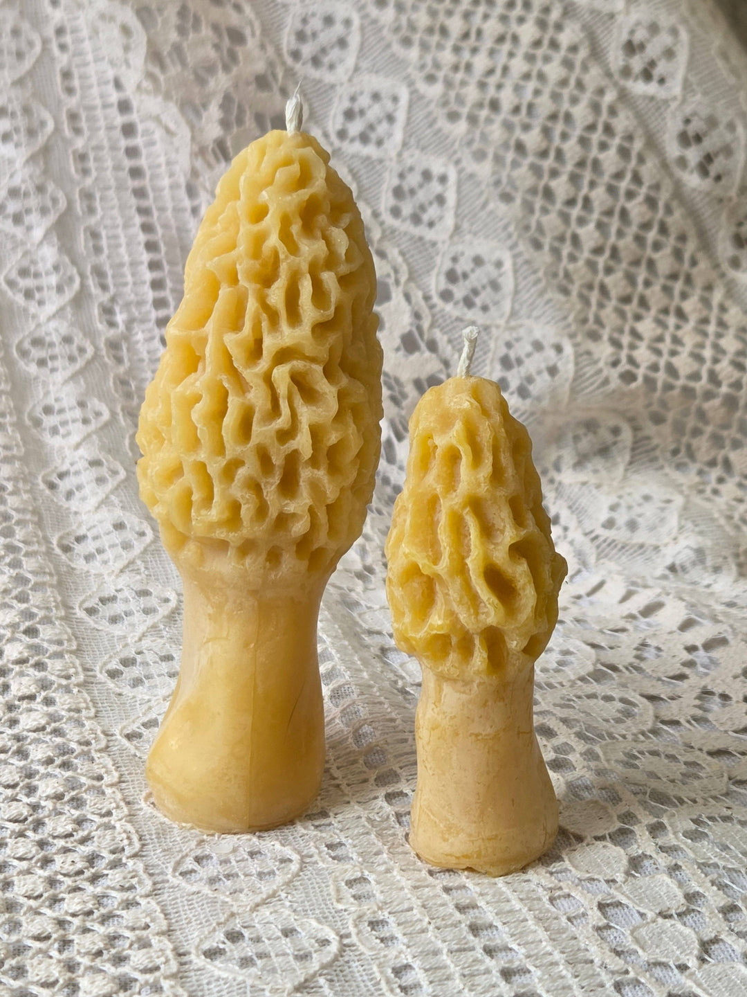 Large Morel Mushroom Beeswax Candle