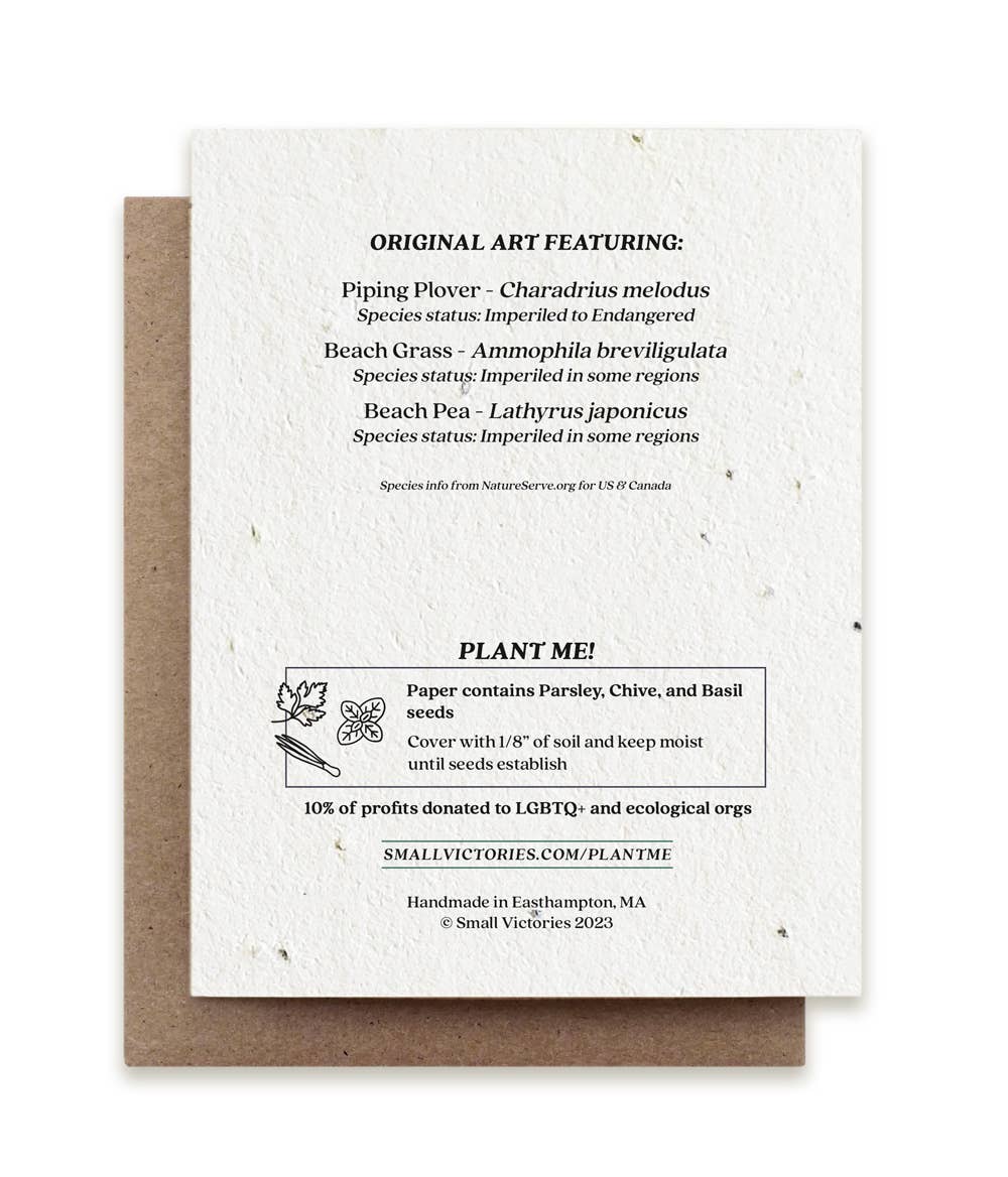 Summer Plovers Plantable Herb Seed Card: No Sleeves