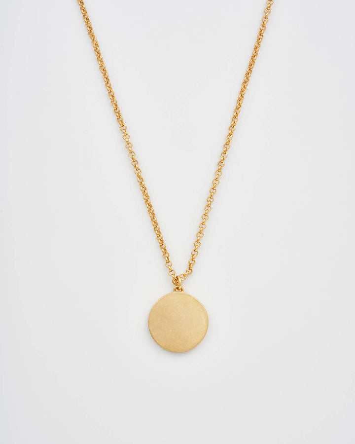 Fox Shadow Guide Necklace