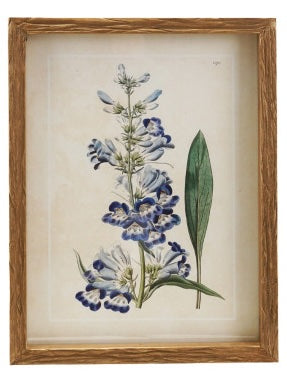 Wood Framed Vintage Florals, 4 Styles