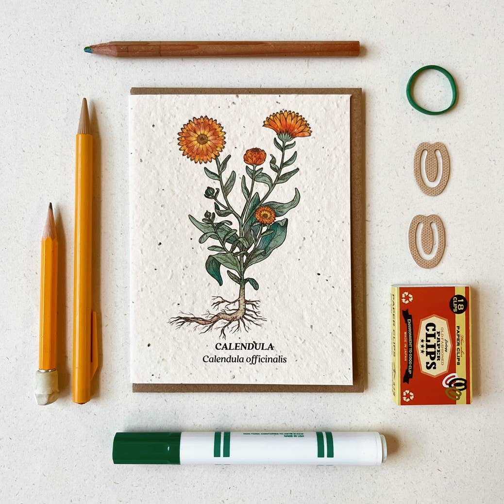 Calendula Plantable Wildflower Seed Card: No Sleeves