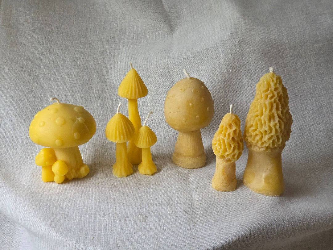 Large Morel Mushroom Beeswax Candle