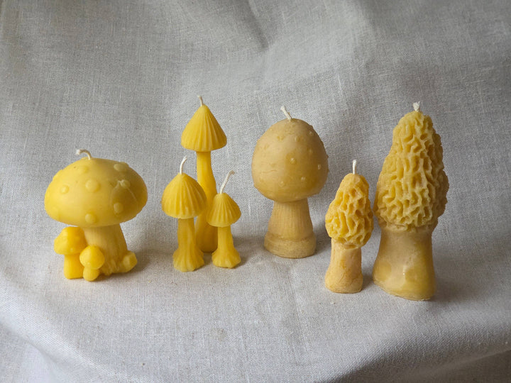 Fairytale Mushroom Beeswax Candle