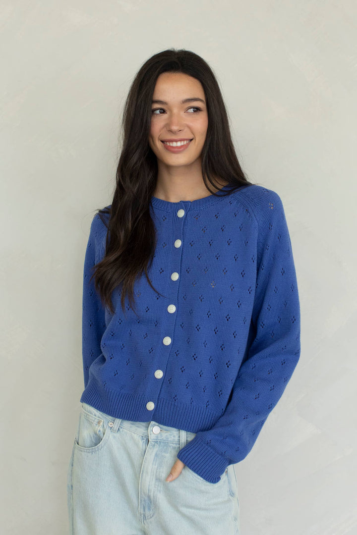 Dara Cardigan in Vintage Blue