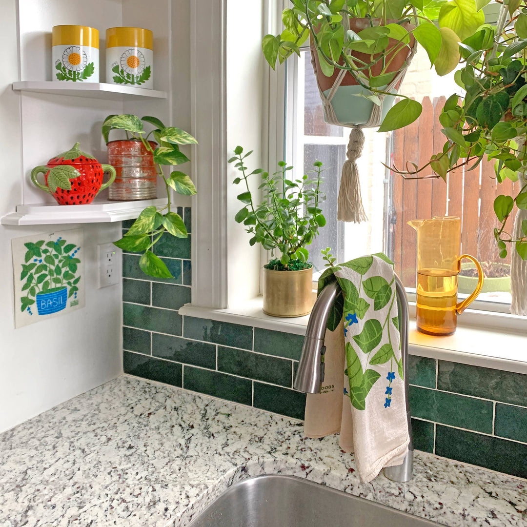 Basil Sponge Cloth