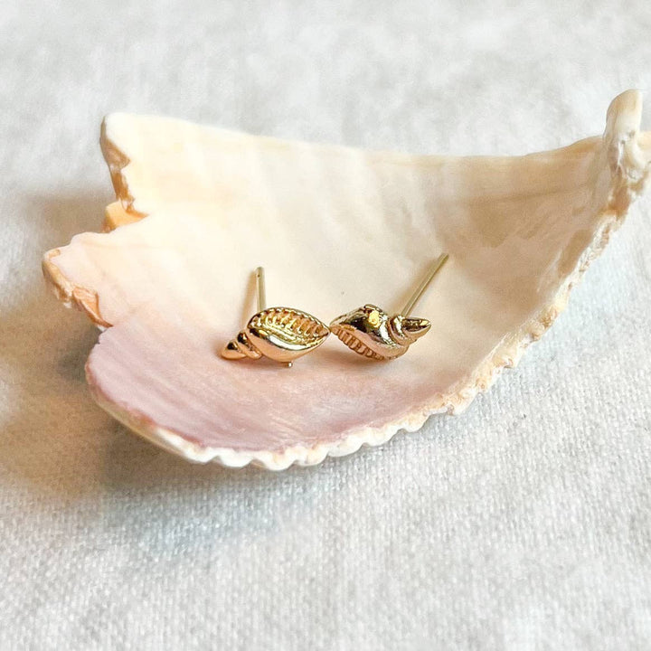 Seashell Studs