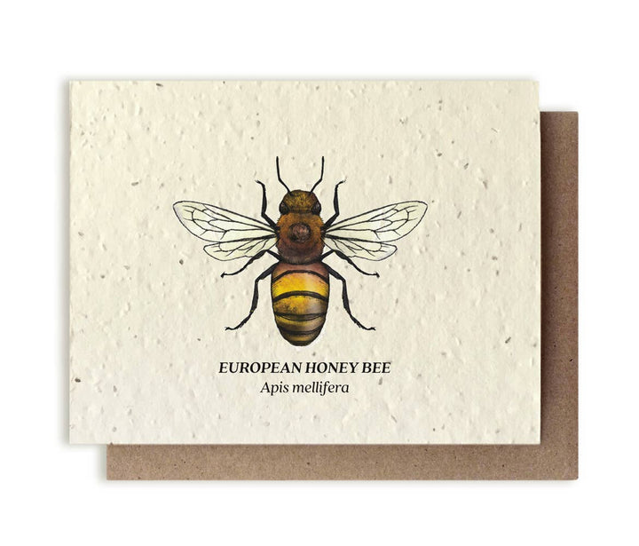 Honey Bee Plantable Wildflower Seed Card: No Sleeves