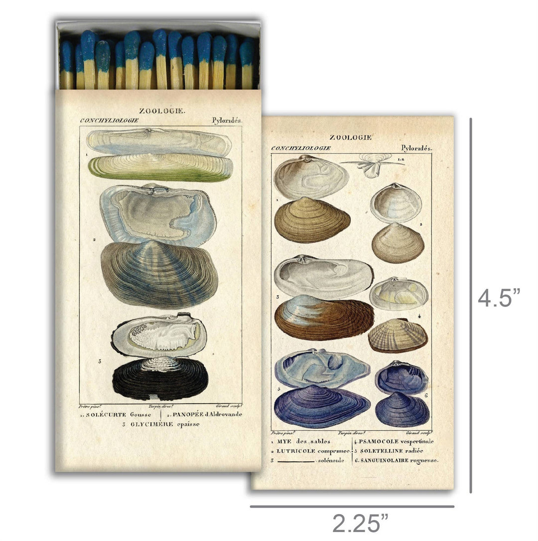 Seashell Specimens Matches