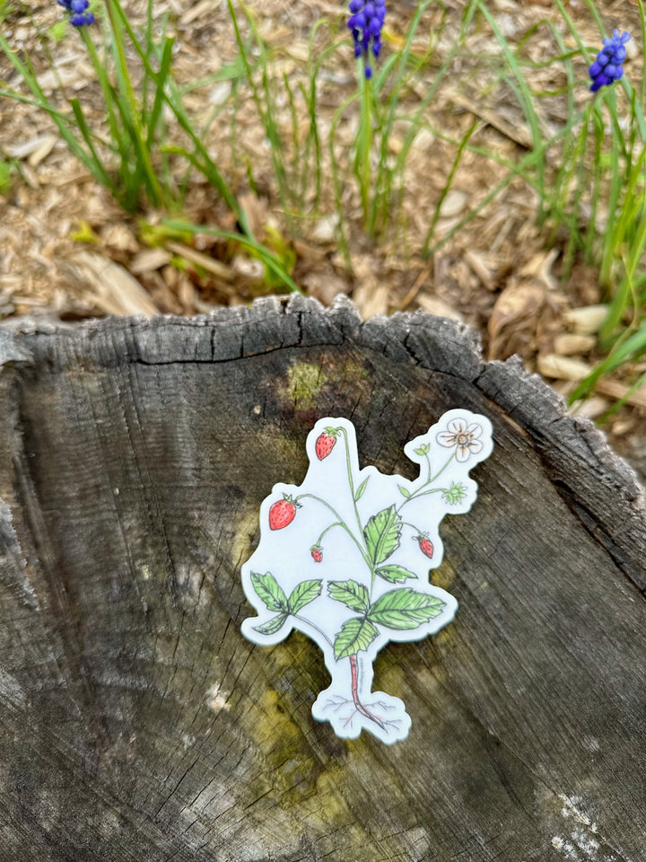 Summer Strawberry Sticker